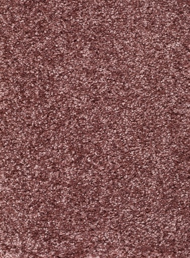 [TEPRIGO5_062] Trend 026 Tapijt RIGOLETTO 500cm Kleur 62 x 500,0