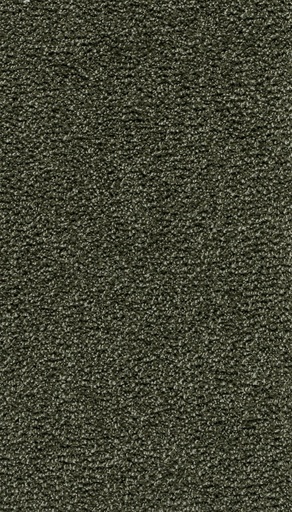 [TEPSUMATR4_040] Trend 026 Tapijt SUMATRA 400 cm Kleur 40 x 400,0