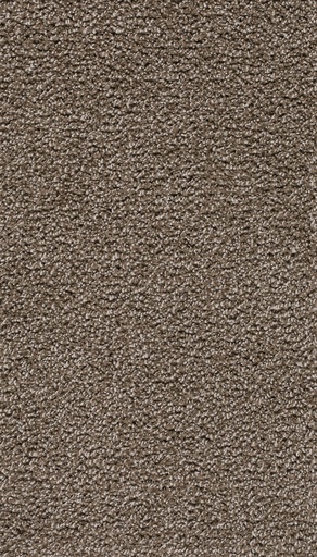 [TEPSUMATR4_090] Trend 026 Tapijt SUMATRA 400 cm Kleur 90 x 400,0