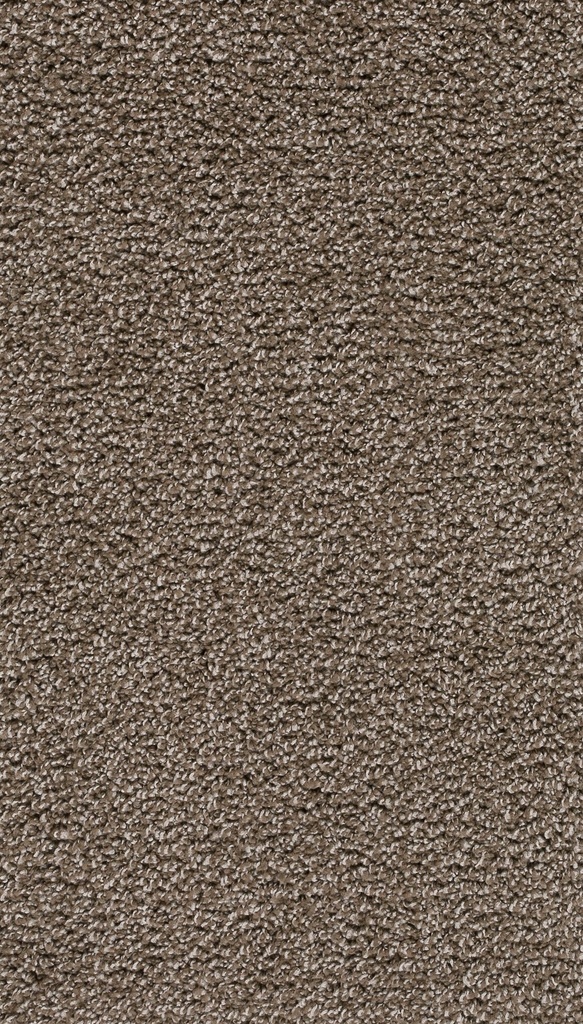Trend 026 Tapijt SUMATRA 500 cm Kleur 90 x 500,0