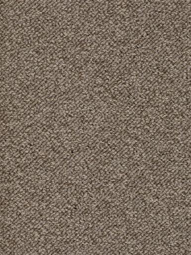 [TEPTERR04_071] Trend 026 Tapijt TERRA 400 cm Kleur 71 x 400,0