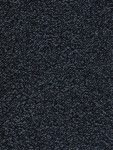 [TEPTERR04_086] Trend 026 Tapijt TERRA 400 cm Kleur 86 x 400,0