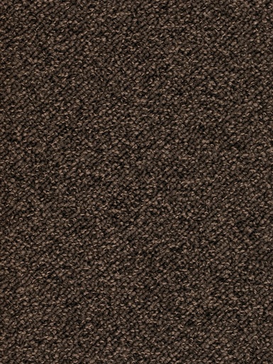 [TEPTERR04_096] Trend 026 Tapijt TERRA 400 cm Kleur 96 x 400,0