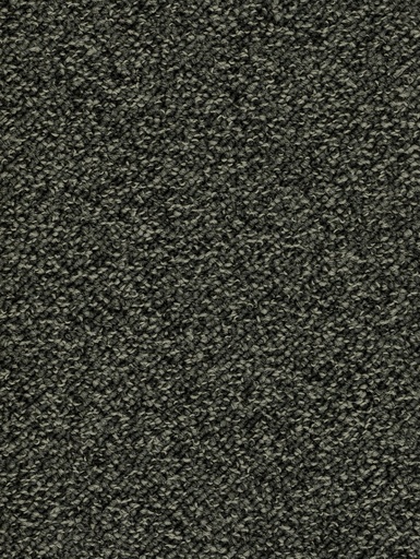[TEPTERR05_045] Trend 026 Tapijt TERRA 500 cm Kleur 45 x 500,0