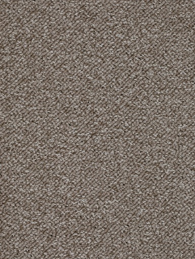 [TEPTERR05_079] Trend 026 Tapijt TERRA 500 cm Kleur 79 x 500,0
