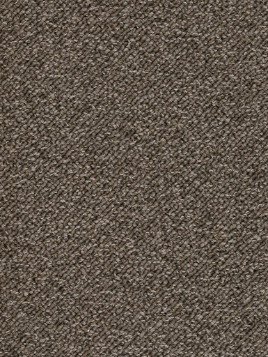 [TEPTERR05_097] Trend 026 Tapijt TERRA 500 cm Kleur 97 x 500,0
