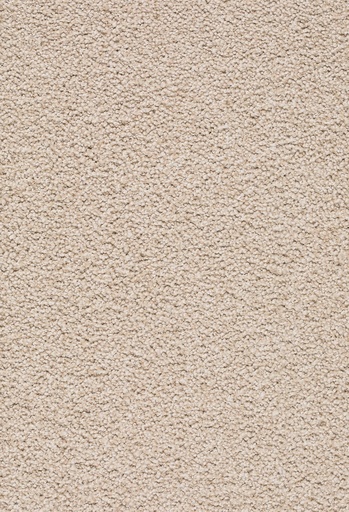 [TEPZIRKON5_250] Trend 026 Tapijt ZIRKONIA 500 cm Kleur 250 x 500,0