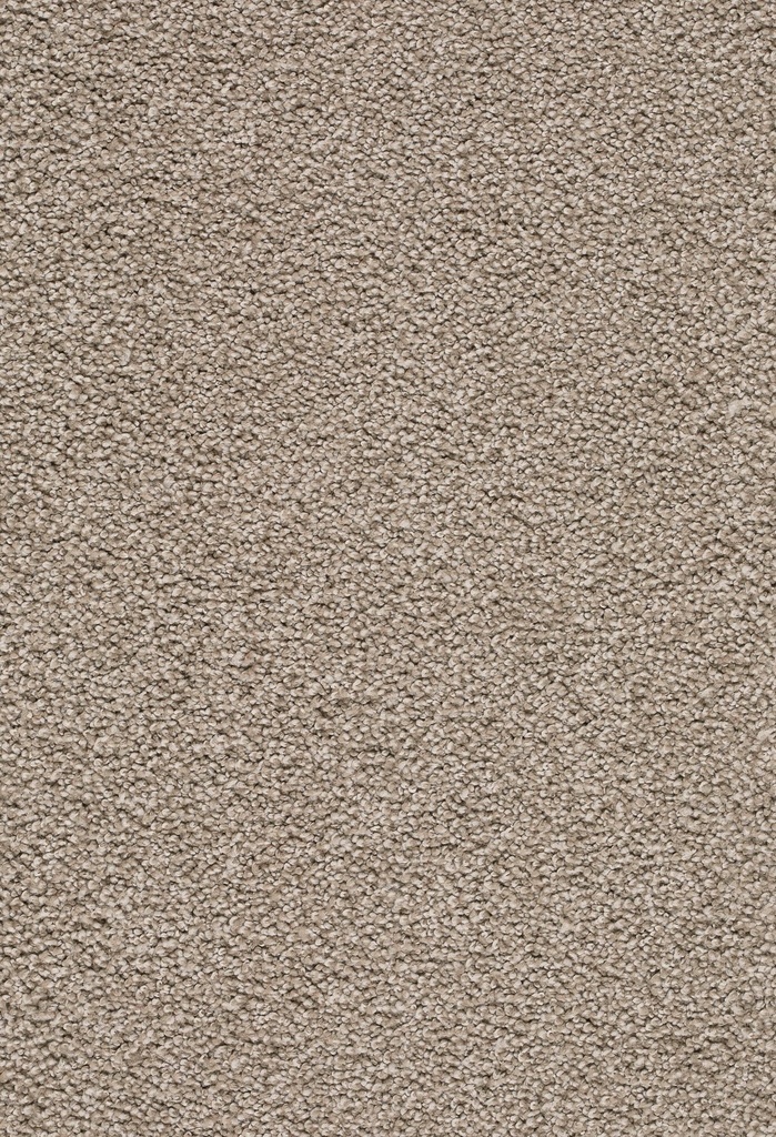 Trend 026 Tapijt ZIRKONIA 500 cm Kleur 260 x 500,0
