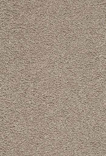 [TEPZIRKON5_260] Trend 026 Tapijt ZIRKONIA 500 cm Kleur 260 x 500,0