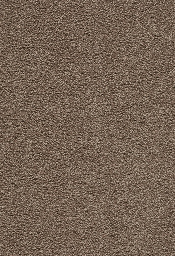 [TEPZIRKON5_420] Trend 026 Tapijt ZIRKONIA 500 cm Kleur 420 x 500,0