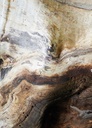 Wandbild 20728 Color III 2025 Kunst / Wall Art 2,00 mtr br x 2,80 mtr hg