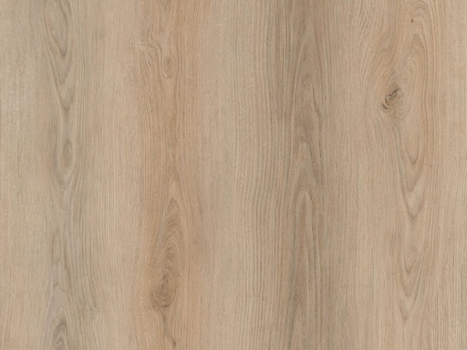 [DM-304-PL] Eternity Plank Click