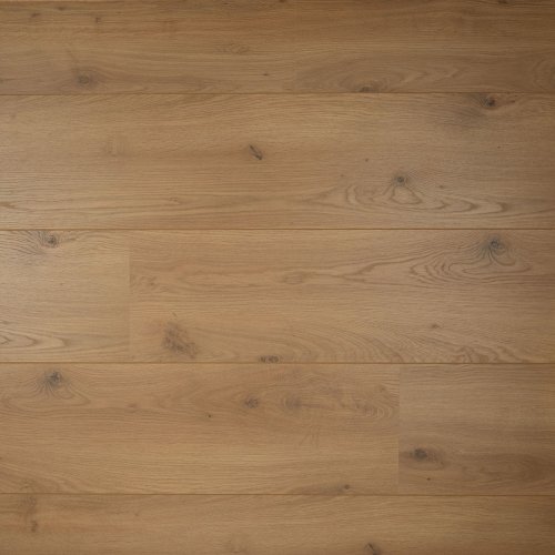 [05039] DD Brede plank Peterselie - 24,3 cm, 2V