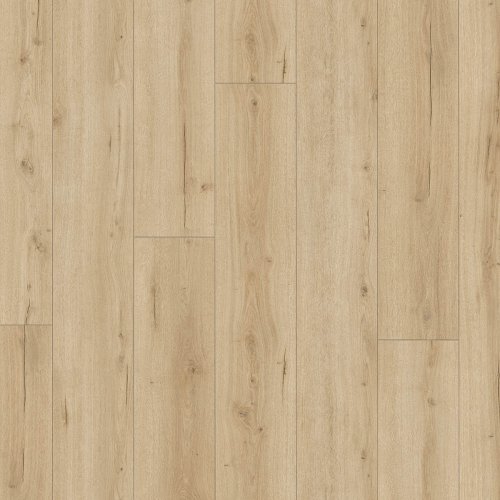 [03483] DD Brede plank Vijg 24,3 cm, 4MV