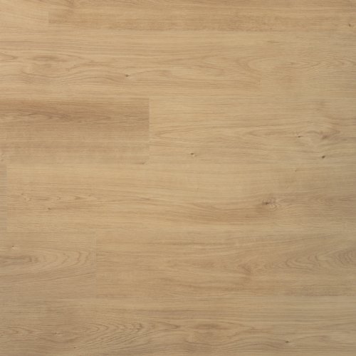 [04953] DD Plank Nootmuskaat - 19,2 cm, vlak