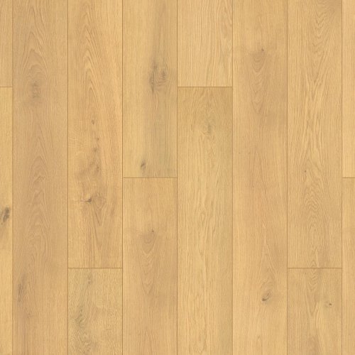 [03445] OTIUM Calyx butter