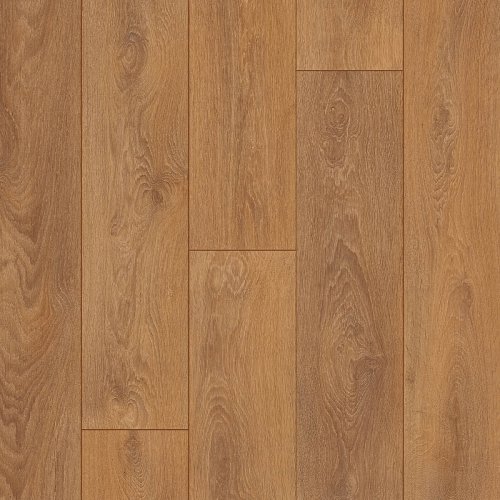[04588] OTIUM Ritual brown