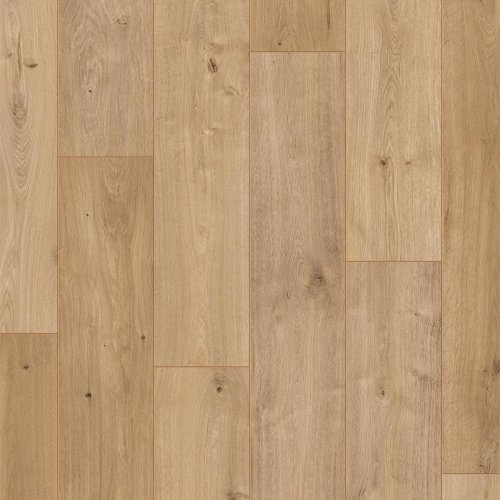 [03449] OTIUM Spice warm