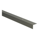 Hoeklijnprofiel schroef 20 mm RVS 3m
