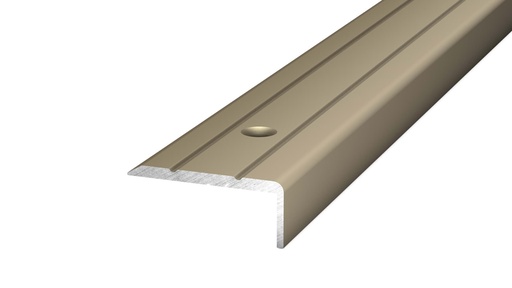 [221031015] Hoekstrip 25x10 Edelstaal-Mat schroef 10x270cm - nr. 160 | 1602314270