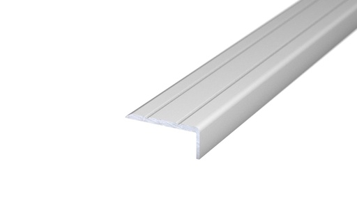 [221121011] Hoekstrip 25x10 Zilver ZKL 100cm Retail VPE - nr. 160 | 1601411100