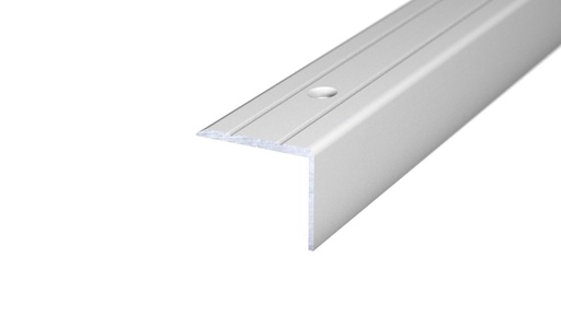 [221132011] Hoekstrip 25x20 Zilver schroef 100cm Retail VPE - nr. 162 voorgeboord | 1621311100