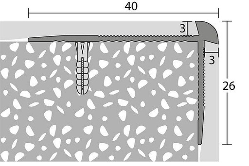 [221331011] Traprandprofiel PVC 3mm 26mm Zilver 40x26mm 10x250cm - nr. 187 | 1871311250