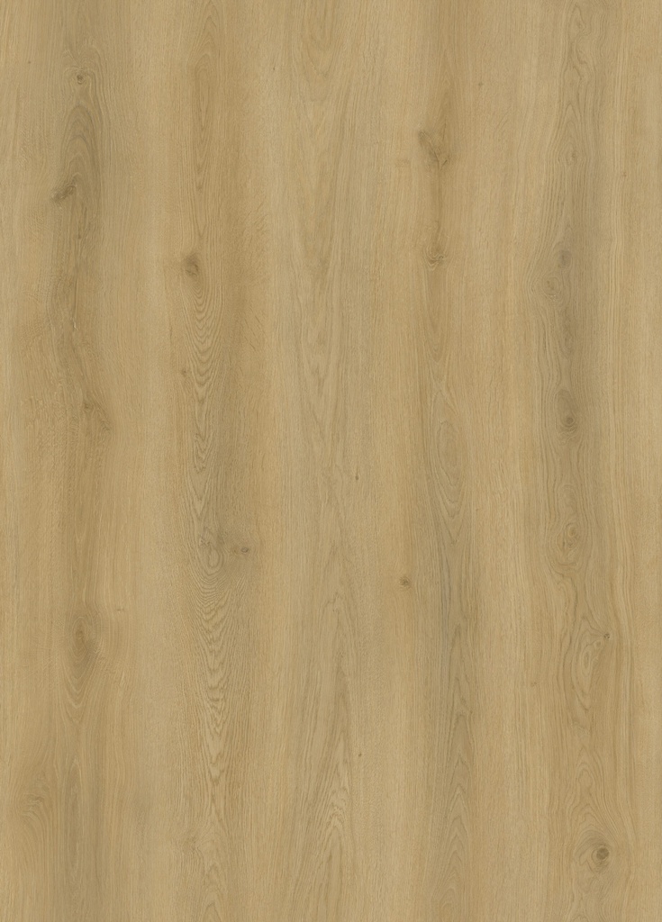 WB V-FLOOR LP03 LVT DRYBACK PLANK