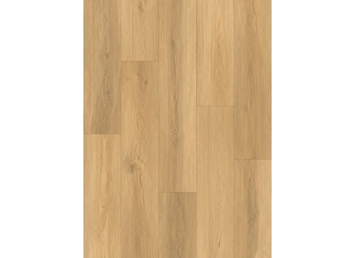 [CAT-GELASTA-ARTLINE-REGISTER-EXTRA-MAT-2302-NATURAL] Artline Register (extra mat) 2302 Natural