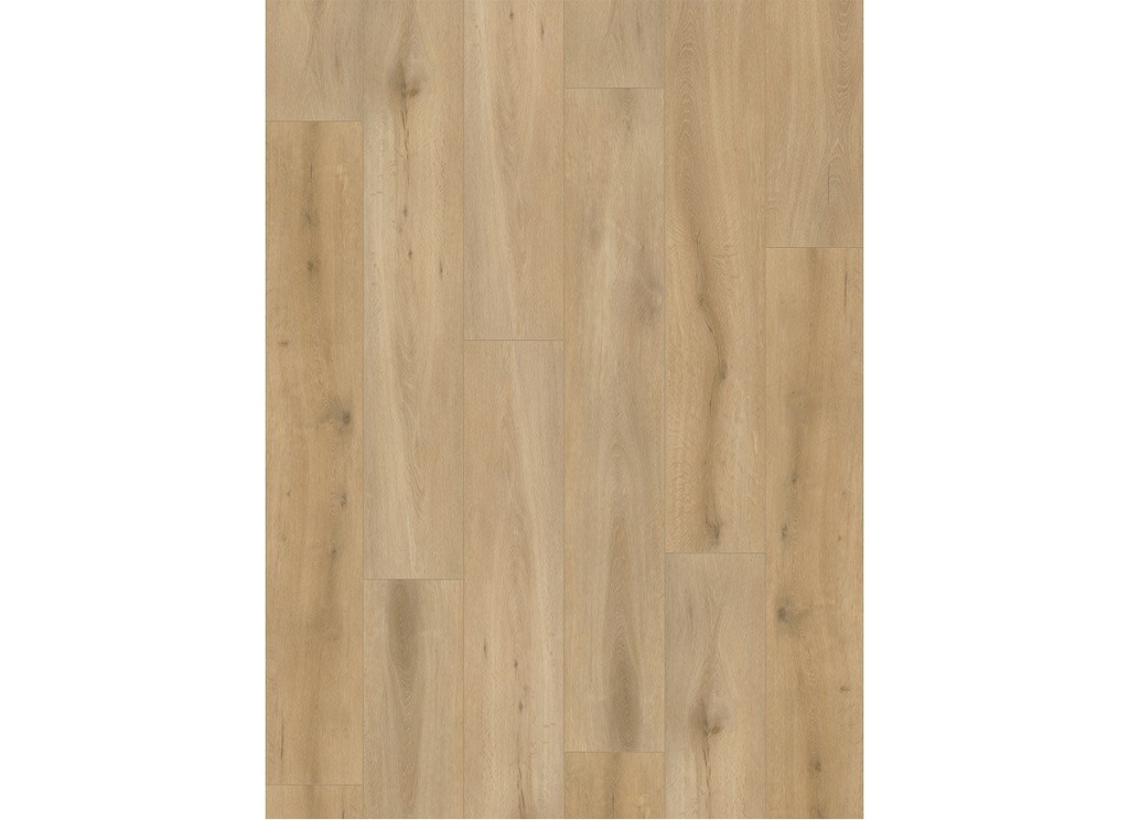 Callisto 4101 (dryback) Natural Oak Light