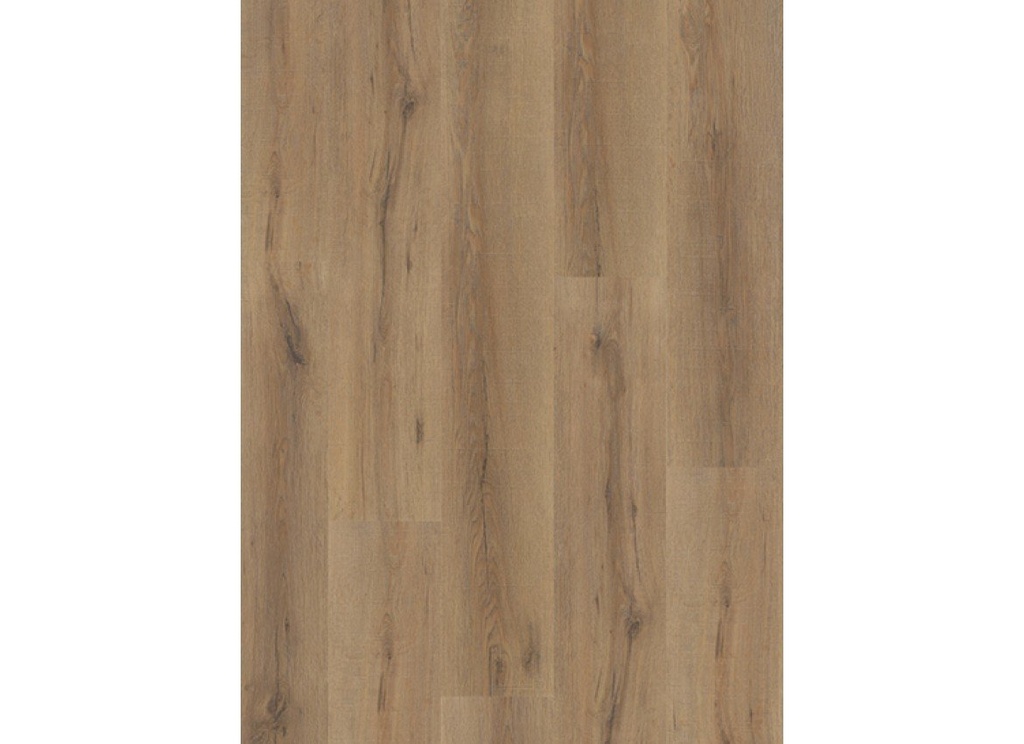 City 4601 (dryback) Smoked Oak Natural