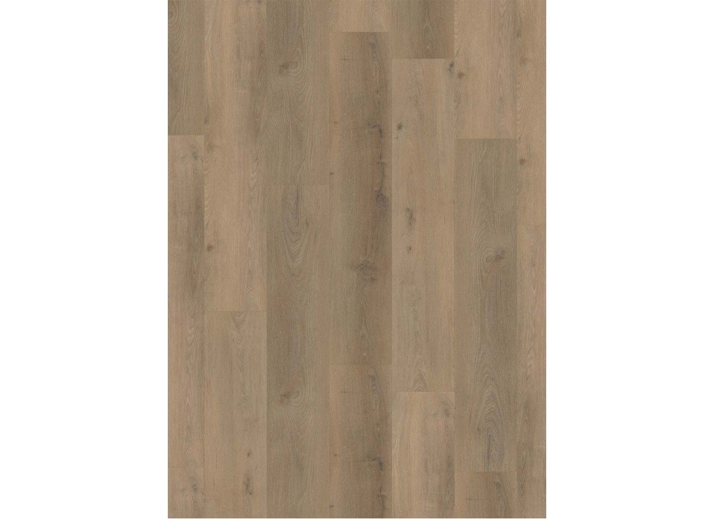 Country 4303 Prestige Oak Sand