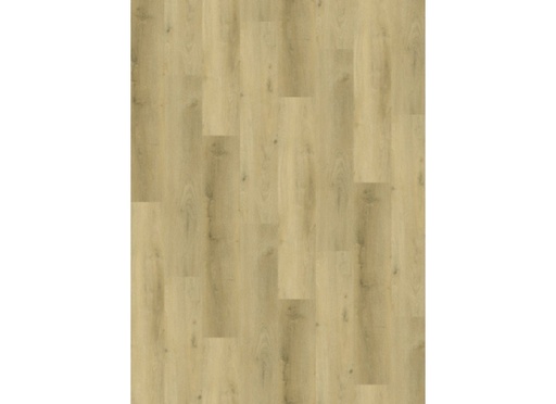 [CAT-GELASTA-COUNTRY-4304-PRESTIGE-OAK-LIGHT] Country 4304 Prestige Oak Light