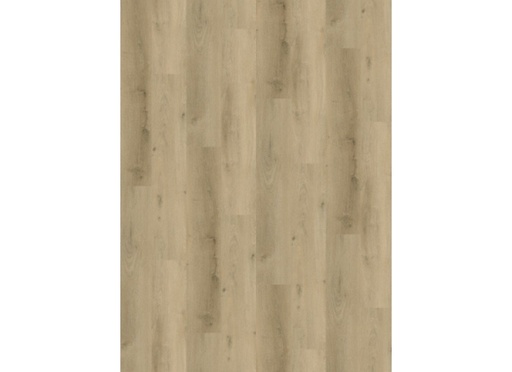 [CAT-GELASTA-COUNTRY-4305-PRESTIGE-OAK-SMOKED-LIGHT] Country 4305 Prestige Oak Smoked Light