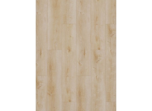 [CAT-GELASTA-DYNAMIC-2500-DRYBACK-NATURAL-LIGHT] Dynamic 2500 (dryback) Natural light