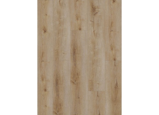[CAT-GELASTA-DYNAMIC-2501-DRYBACK-NATURAL-SMOKED] Dynamic 2501 (dryback) Natural smoked