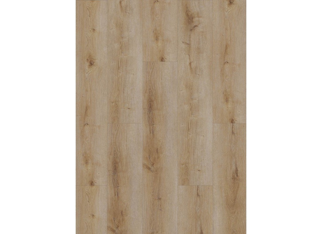 Dynamic 3501 (rigid click) Natural smoked