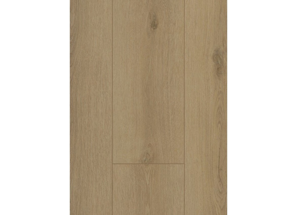 Firmfit 6501 (dryback) Sierra Beige