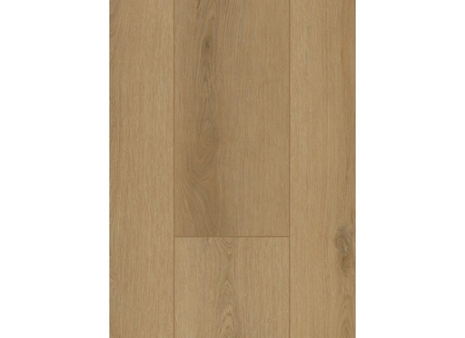 [CAT-GELASTA-FIRMFIT-6502-DRYBACK-SIERRA-NATUREL] Firmfit 6502 (dryback) Sierra Naturel