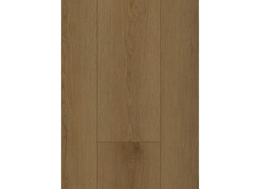 [CAT-GELASTA-FIRMFIT-6503-DRYBACK-SIERRA-BROWN] Firmfit 6503 (dryback) Sierra Brown