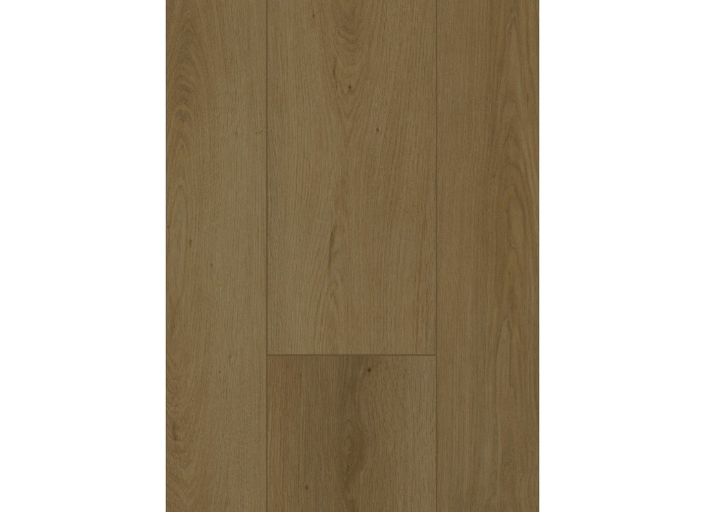 Firmfit 6702 (dryback) Summerfield Cinnamon