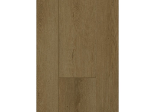 [CAT-GELASTA-FIRMFIT-6702-DRYBACK-SUMMERFIELD-CINNAMON] Firmfit 6702 (dryback) Summerfield Cinnamon
