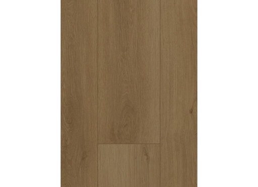 [CAT-GELASTA-FIRMFIT-6703-DRYBACK-SUMMERFIELD-SAND] Firmfit 6703 (dryback) Summerfield Sand