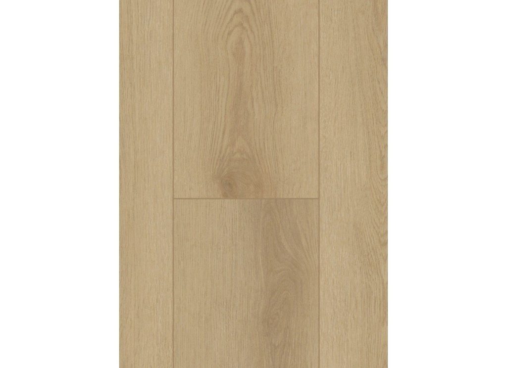 Firmfit Silent 7500 (rigid click) Sierra Light
