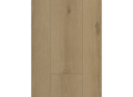 [CAT-GELASTA-FIRMFIT-SILENT-7501-RIGID-CLICK-SIERRA-BEIGE-2] Firmfit Silent 7501 (rigid click) Sierra Beige