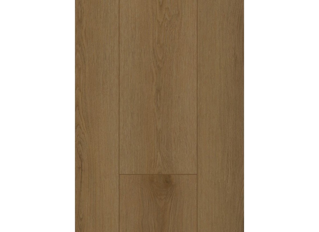 Firmfit Silent 7503 (rigid click) Sierra Brown