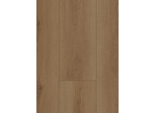 [CAT-GELASTA-FIRMFIT-SILENT-7700-RIGID-CLICK-SUMMERFIELD-NATUREL-2] Firmfit Silent 7700 (rigid click) Summerfield Naturel