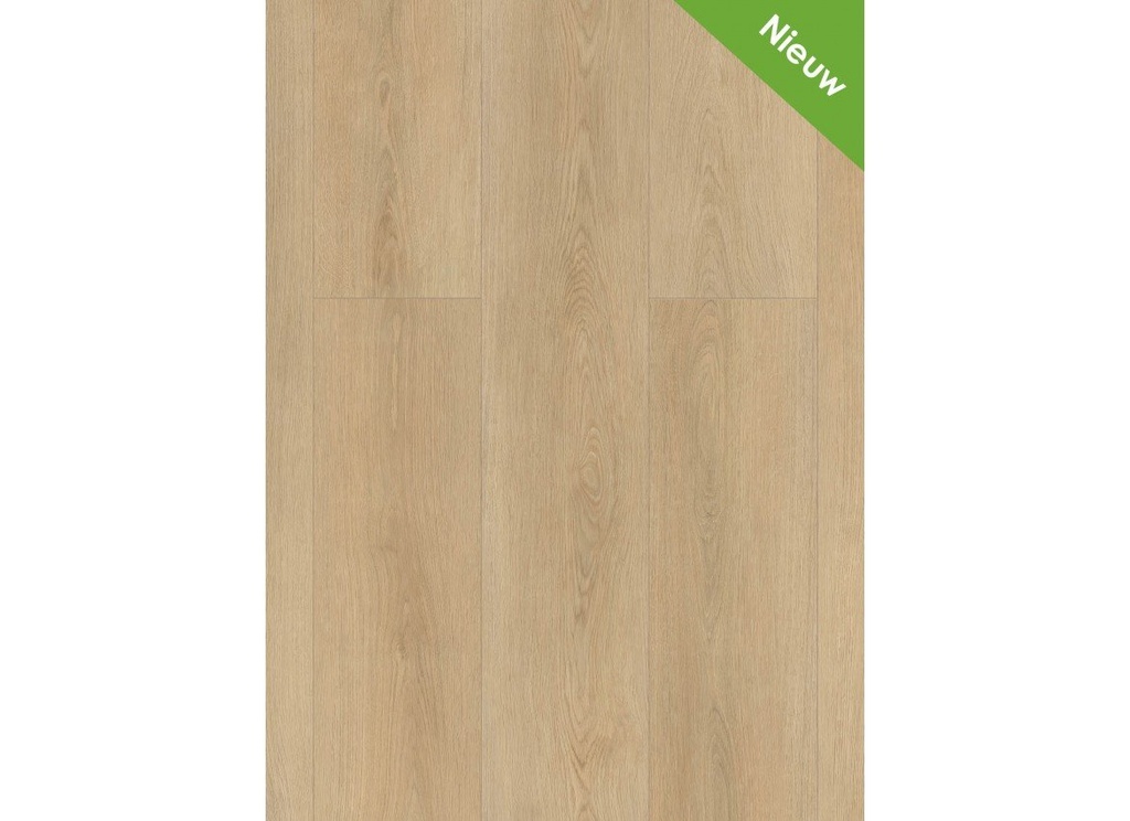Highland 2503 (dryback) Naturel
