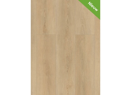 [CAT-GELASTA-HIGHLAND-2503-DRYBACK-NATUREL] Highland 2503 (dryback) Naturel