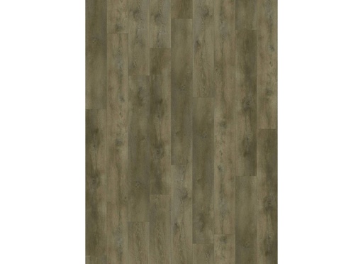 [CAT-GELASTA-NEVADA-6000-DRYBACK-VALLEY-OAK-SMOKED] Nevada 6000 (dryback) Valley Oak Smoked